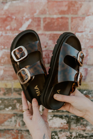 Gen Tortoise Jelly Sandal- MIA