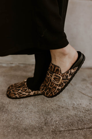 Gilia Leopard Mule- MIA