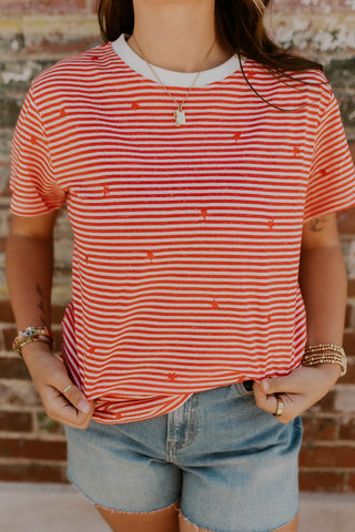 Embroidered Star Top