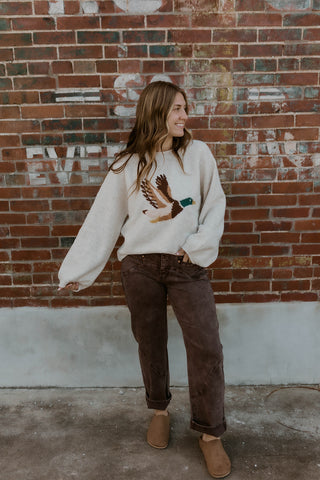 Ducks In A Rowe Sweater