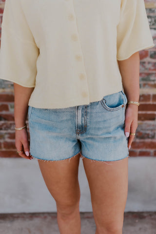 Ava A-Line Shorts- Hidden