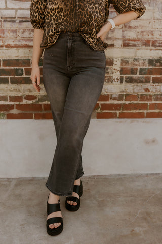 Ella High Rise Wide Straight Jeans- Hidden